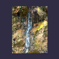 2012-10-20_Fall_AQUILA (307)b.JPG